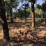 Evasion Nature Maison & Glamping * Grayan-et-l'Hopital