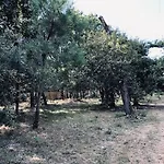 Evasion Nature Maison & Glamping * Grayan-et-l'Hopital