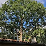 Evasion Nature Maison & Glamping *