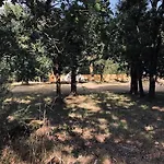Evasion Nature Maison & Glamping