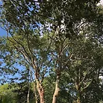 Βίλα Evasion Nature Maison & Glamping Grayan-et-l'Hopital
