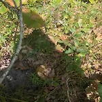 Βίλα Evasion Nature Maison & Glamping Grayan-et-l'Hopital