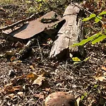 Βίλα Evasion Nature Maison & Glamping