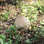 Βίλα Evasion Nature Maison & Glamping *