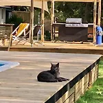 Βίλα Evasion Nature Maison & Glamping