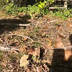 Evasion Nature Maison & Glamping Βίλα *