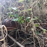 Evasion Nature Maison & Glamping Βίλα *