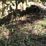 Βίλα Evasion Nature Maison & Glamping Grayan-et-l'Hopital
