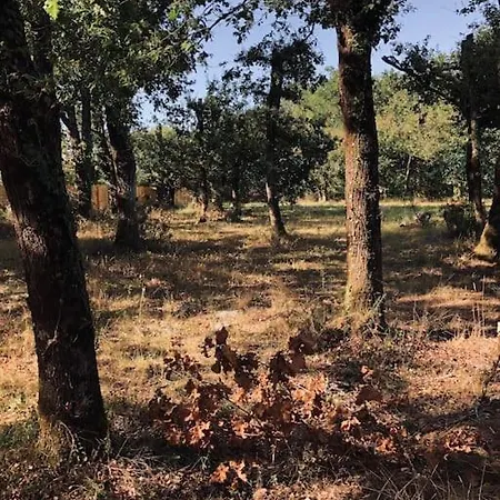Evasion Nature Maison & Glamping * Grayan-et-l'Hopital