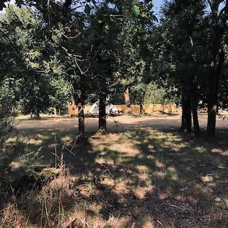 Evasion Nature Maison & Glamping