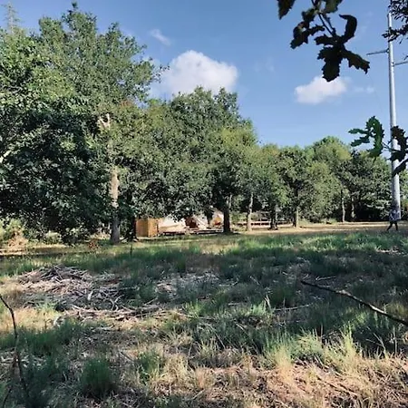 Villa Lucat Diem
