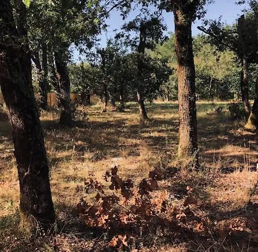 Evasion Nature Maison & Glamping * Grayan-et-l'Hopital