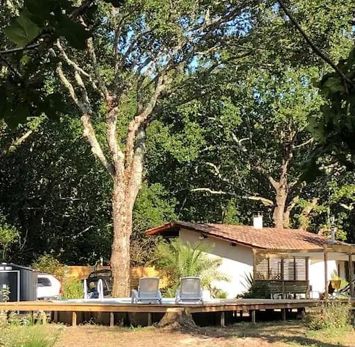 Evasion Nature Maison & Glamping *