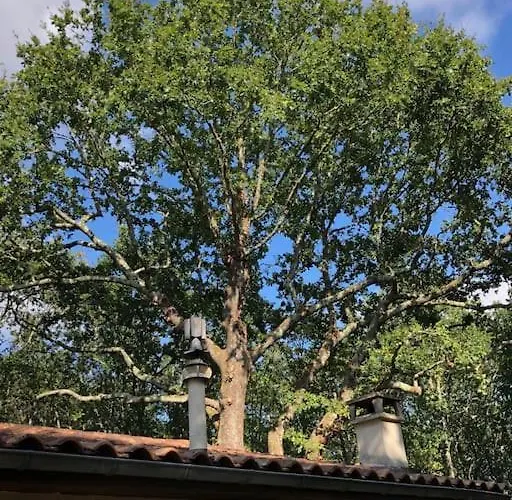 Evasion Nature Maison & Glamping *