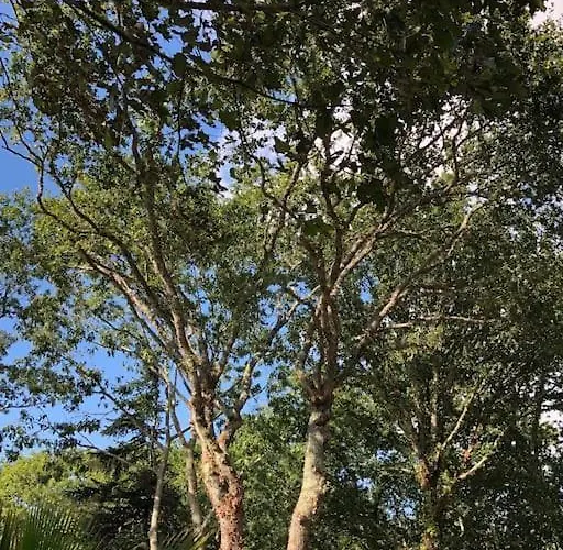 Вилла Evasion Nature Maison & Glamping Grayan-et-l'Hopital