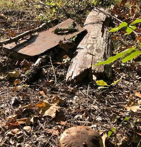 Вилла Evasion Nature Maison & Glamping