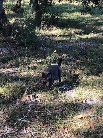 Evasion Nature Maison & Glamping Вилла Grayan-et-l'Hopital