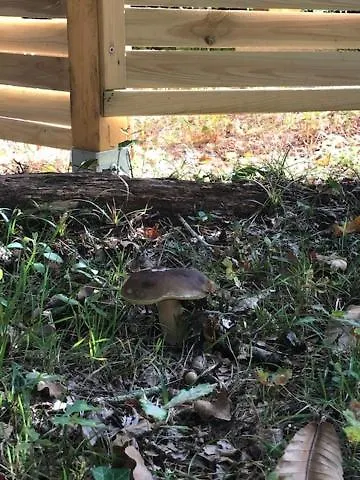 Evasion Nature Maison & Glamping Grayan-et-l'Hopital