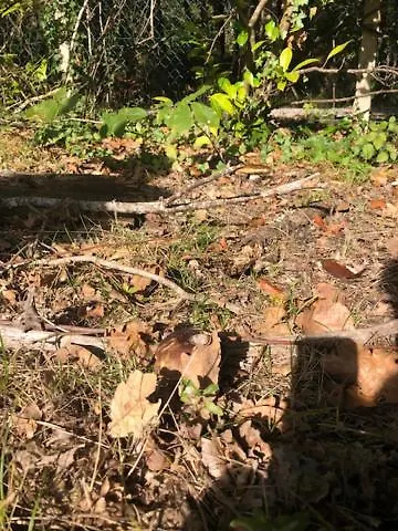 Evasion Nature Maison & Glamping Вилла *