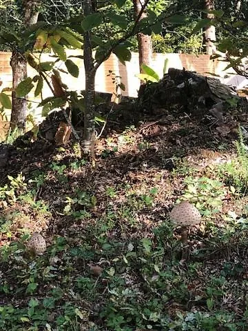 Вилла Evasion Nature Maison & Glamping Grayan-et-l'Hopital