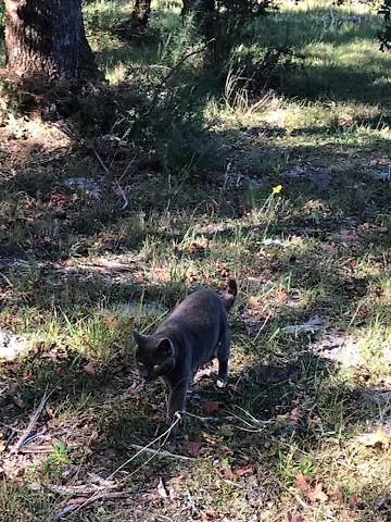 Вилла Evasion Nature Maison & Glamping Grayan-et-l'Hopital