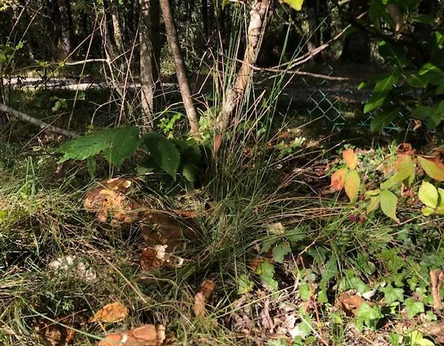 Evasion Nature Maison & Glamping